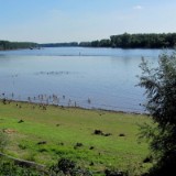 1208F 127 Rhein-Radweg